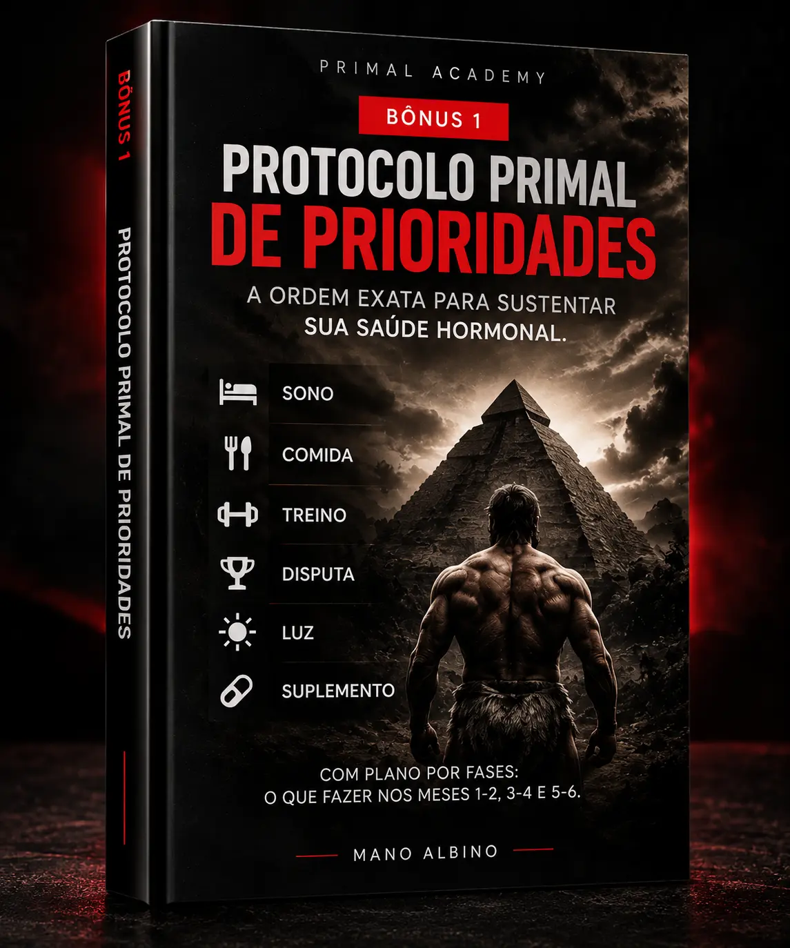 Protocolo Primal de Prioridades