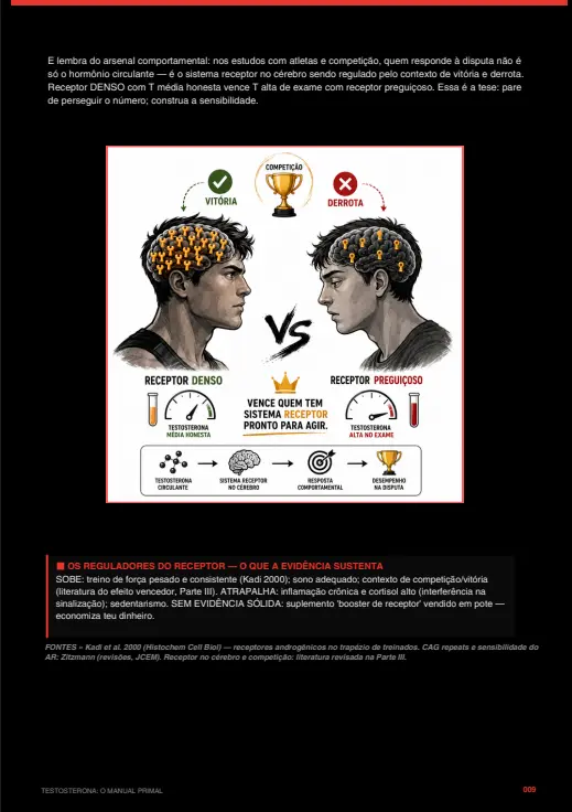 Mapa do sistema de receptores